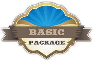 web-design-basic-300×197