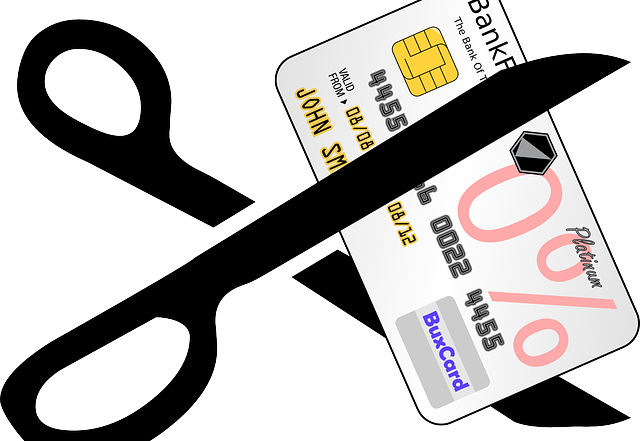 restart your credit score