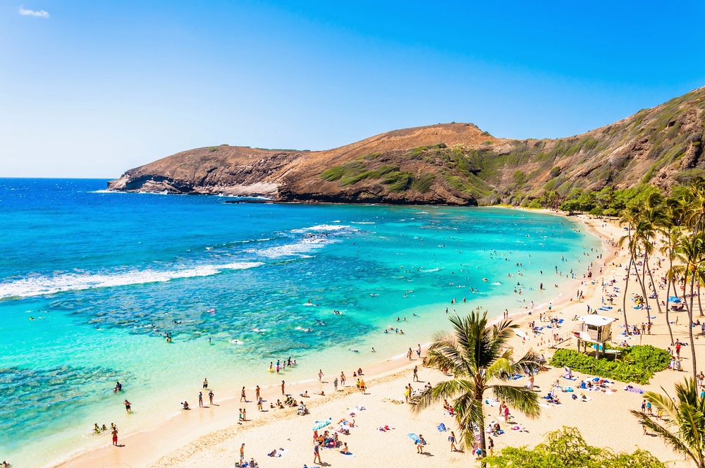 Live the Aloha life with better credit! Urban Hawaii Credit Repair fights for your rights. Remove errors, raise your score, and achieve financial goals. Free consultation (Hawaii).